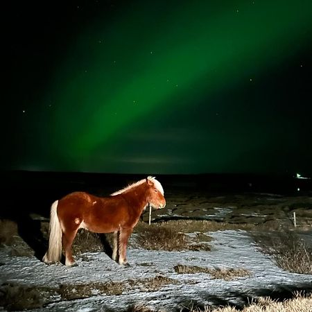 Guesthouse Didi Flagbjarnarholt ภายนอก รูปภาพ