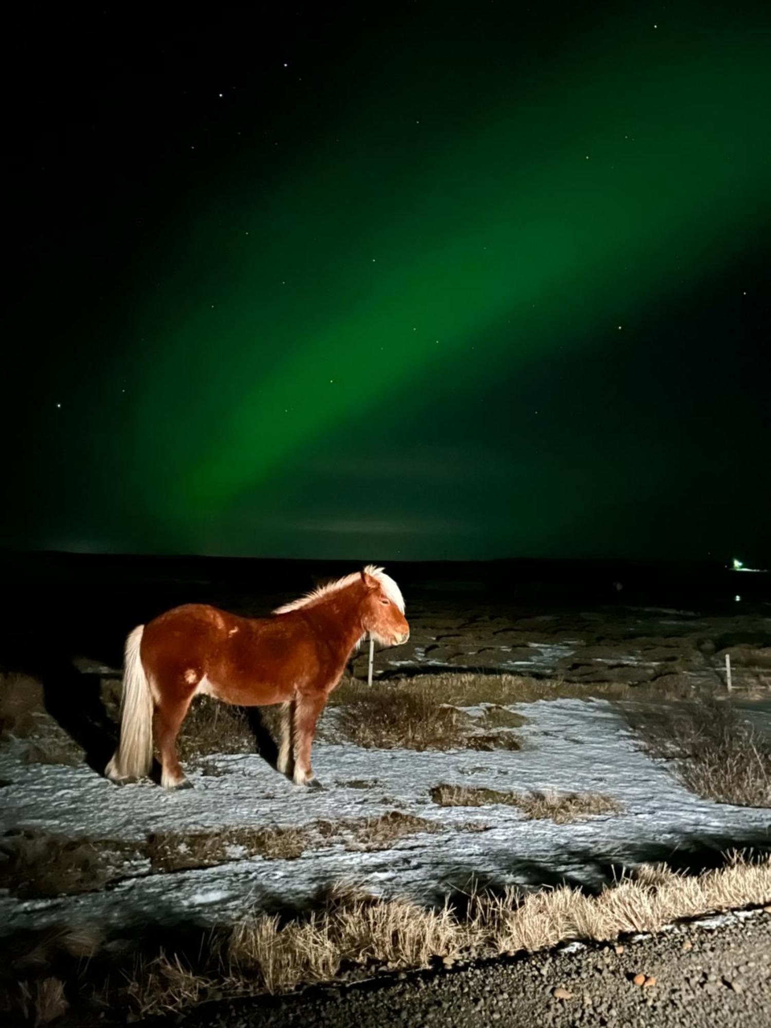 Guesthouse Didi Flagbjarnarholt ภายนอก รูปภาพ